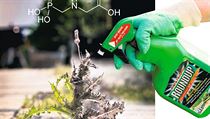 Nejpoužívanější herbicid na světě (grafika LN). | na serveru Lidovky.cz | aktuální zprávy