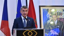 Andrej Babiš v Maroku. | na serveru Lidovky.cz | aktuální zprávy