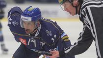 Tomáš Plekanec při vhazování. | na serveru Lidovky.cz | aktuální zprávy