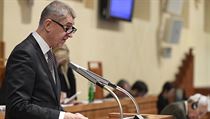 Premiér Andrej Babiš na schůzi Senátu 20. prosince 2018. | na serveru Lidovky.cz | aktuální zprávy