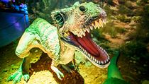 Výstava představí výběr těch nejzajímavějších modelů dinosaurů ze všech... | na serveru Lidovky.cz | aktuální zprávy