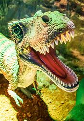 Dinosauři a pterosauři měli společného předka. Dokazuje to objevená zkamenělina Výstava představí výběr těch nejzajímavějších modelů dinosaurů ze všech... | na serveru Lidovky.cz | aktuální zprávy