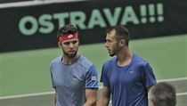 Jiří Veselý a Lukáš Rosol během zápasu s Holandskou dvojicí Robin Haase,... | na serveru Lidovky.cz | aktuální zprávy