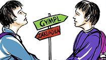 Rozdíl mezi základní školou a víceletým gymnáziem. Rozdíl mezi základní školou a víceletým gymnáziem.