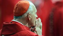 Theodor kardinál McCarrick. | na serveru Lidovky.cz | aktuální zprávy