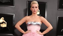 Zpvaka Katy Perry na pedávání cen Grammy 2019. Její stih i barva róby...