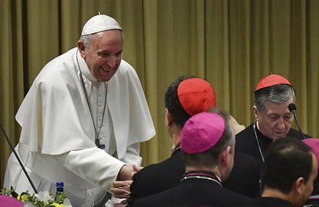 Pape Frantiek ve Vatikánu zahájil bezpíkladný summit pedstavitel katolické...
