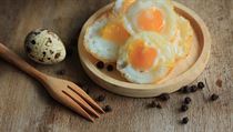 Křepelčí vajíčka | na serveru Lidovky.cz | aktuální zprávy
