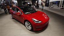 Americká společnost Tesla ve čtvrtek uvedla na trh dlouho slibovanou základní... | na serveru Lidovky.cz | aktuální zprávy