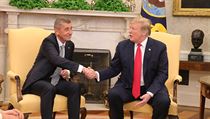 Andrej Babiš na úvodu schůzky s prezidentem USA Donaldem Trumpem. Andrej Babiš na úvodu schůzky s prezidentem USA Donaldem Trumpem.