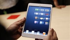 iPad Mini