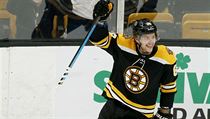 David Pastrňák v dresu Bostonu slaví gól. | na serveru Lidovky.cz | aktuální zprávy