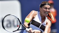 Petra Kvitová v zápase s Donou Vekičovou na Miami Open | na serveru Lidovky.cz | aktuální zprávy