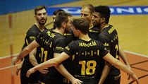 Volejbalisté Brna v čele s kapitánem Michalem Hrazdírou (uprostřed vzadu). | na serveru Lidovky.cz | aktuální zprávy