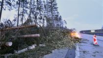 Silničáři odstranili spadané stromy z D1. | na serveru Lidovky.cz | aktuální zprávy