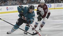 Centr týmu San Jose Sharks Tomáš Hertl (číslo 48) se snaží přebruslit... | na serveru Lidovky.cz | aktuální zprávy