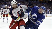 Útočník Ondřej Palát vstřelil v úvodním kole play off NHL jediný gól Tampy Bay. | na serveru Lidovky.cz | aktuální zprávy