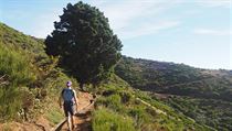 Levada do Paul je zcela bez stínu, ale nabízí skvělé výhledy, Madeira | na serveru Lidovky.cz | aktuální zprávy