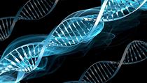 Nakolik geny opravdu předurčují, jací jsme? Slabiny a přednosti máme vepsané do DNA geny - ilustrační foto | na serveru Lidovky.cz | aktuální zprávy