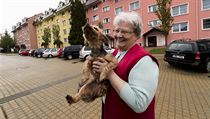 Rapotín roste díky dotacím. | na serveru Lidovky.cz | aktuální zprávy
