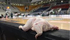 Kue na lavice basketbalového Olympiakosu.