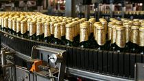 Výrobní linka na lahvové pivo. | na serveru Lidovky.cz | aktuální zprávy