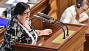 Nového nejvyššího státního zástupce navrhnu do konce června. Bude to někdo známý, nastínila Benešová Ministryně spravedlnosti za ANO Marie Benešová. | na serveru Lidovky.cz | aktuální zprávy
