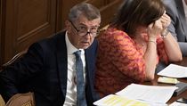 ŽIVĚ: ‚Žádný střet zájmu nemám, kampaň nevedu.‘ Sněmovna debatuje před hlasováním o nedůvěře vládě Andrej Babiš v průběhu schůze o vyslovení nedůvěry vládě. | na serveru Lidovky.cz | aktuální zprávy