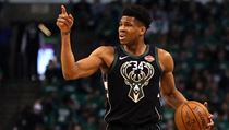 Janis Adetokunbo si na zářijovém mistrovství světa basketbalistů v Číně zahraje... | na serveru Lidovky.cz | aktuální zprávy