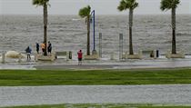 Lakeshore Drive v New Orleans. Hurikán Barry by mohl poškodit jiihovýchodní... | na serveru Lidovky.cz | aktuální zprávy