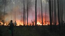 Na Sibiři hoří milion hektarů lesa. Požáry nikdo nehasí, chybějí peníze Požár lesa (ilustrační foto) | na serveru Lidovky.cz | aktuální zprávy