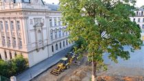 Zatím stojící javor a stavba sportoviště Na Smetance. | na serveru Lidovky.cz | aktuální zprávy