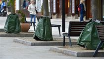 Zahradník Fous: Stromy se zavlažovacími vaky jsou jako pacienti na infuzi Dlažba odvádí vodu, plochy rabátek jsou miniaturní a architektonické řešení se... | na serveru Lidovky.cz | aktuální zprávy