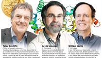Nobelova cena za fyziologii a medicínu 2019. | na serveru Lidovky.cz | aktuální zprávy