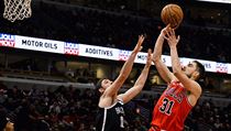 Hráč týmu Chicago Bulls Tomáš Satoranský (vpravo). | na serveru Lidovky.cz | aktuální zprávy