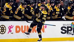 Hrá týmu Boston Bruins Dominik Krejí oslavuje výhru nad Minnesotou se svými...