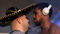 Andy Ruiz Jr.a Anthony Joshua před vzájemným soubojem | na serveru Lidovky.cz | aktuální zprávy