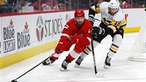 Detroit Red Wings defenseman Filip Hronek (17) protects the puck from... | na serveru Lidovky.cz | aktuální zprávy