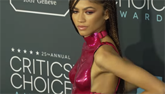 Americká zpvaka Zendaya Coleman, známá jen jako Zendaya