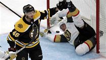 David Krejčí z Boston Bruins oslavuje gól do sítě Vegas Golden Knights. | na serveru Lidovky.cz | aktuální zprávy