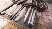 Dřevěná studna, kterou archeologové našli při záchranném výzkumu pod budoucí... | na serveru Lidovky.cz | aktuální zprávy
