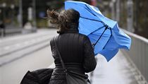 Meteorologové varují před silným větrem. | na serveru Lidovky.cz | aktuální zprávy