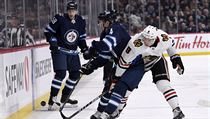 Hráč Winnipegu Neal Pionk (4) se snaží udržet puk před Dominikem Kubalíkem ze... | na serveru Lidovky.cz | aktuální zprávy