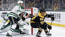 Andrej Sekera (5) proti Davidu Pastrňákovi (88) v zápase Bostonu proti Dallasu.... | na serveru Lidovky.cz | aktuální zprávy