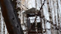 Místo svobody gulag. Před 75 lety Sověti odvlekli v dobytčácích tisíce Čechoslováků Bývalý sovětský gulag na Sibiři | na serveru Lidovky.cz | aktuální zprávy