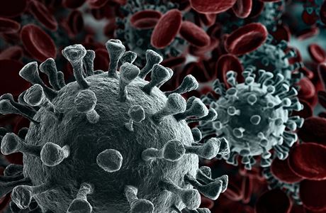 Koronavirus (ilustrační) | na serveru Lidovky.cz | aktuální zprávy