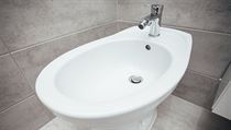 Bidet (ilustrační foto) | na serveru Lidovky.cz | aktuální zprávy
