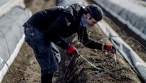 V Česku nastává paradoxní situace. Zatímco kultura, gastronomie či obchody... | na serveru Lidovky.cz | aktuální zprávy