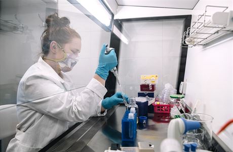 Jako pátrání po zločinci: začne cílené stopování mutací. Vytvořili jsme jistou strategii, hlásí Vojtěch Česká zemědělská univerzita v Praze. | na serveru Lidovky.cz | aktuální zprávy