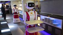 V nizozemské restauraci budou jako obsluha pracovat roboti. | na serveru Lidovky.cz | aktuální zprávy